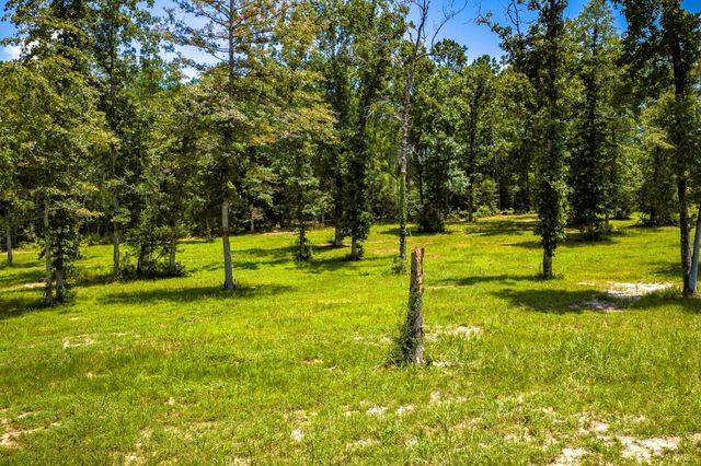 6024 Fm-3152, Livingston, TX 77351