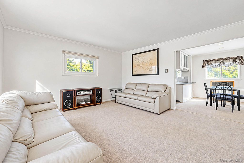 127 Locust Street, Floral Park, NY 11001 — photo 4