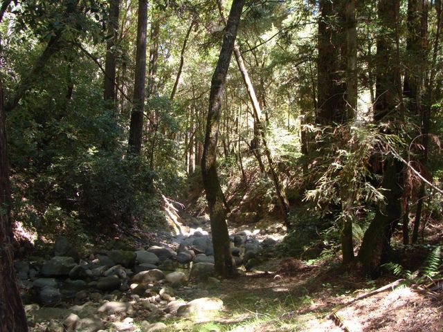 7150 Croy Road A, Morgan Hill, CA 95037