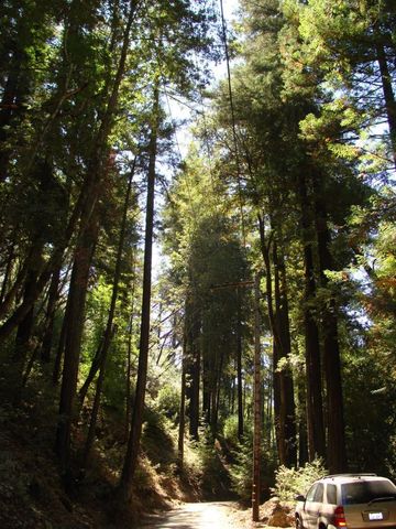 7150 Croy Road A, Morgan Hill, CA 95037