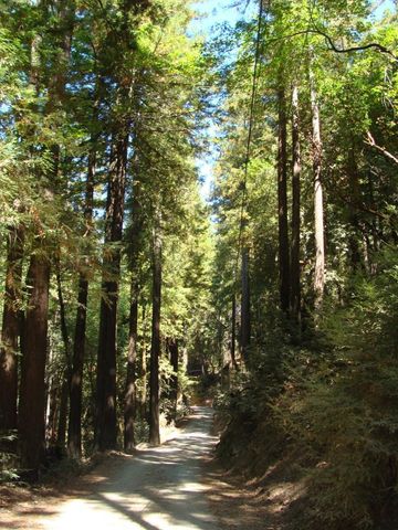 7150 Croy Road A, Morgan Hill, CA 95037