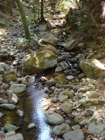 7150 Croy Road A, Morgan Hill, CA 95037