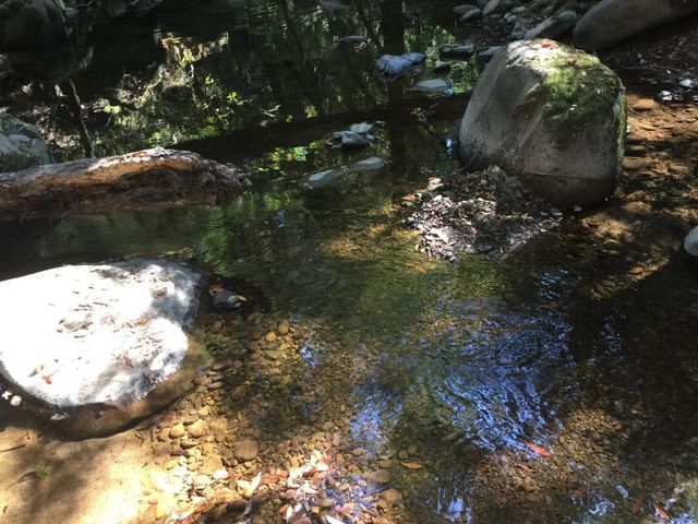 7150 Croy Road A, Morgan Hill, CA 95037