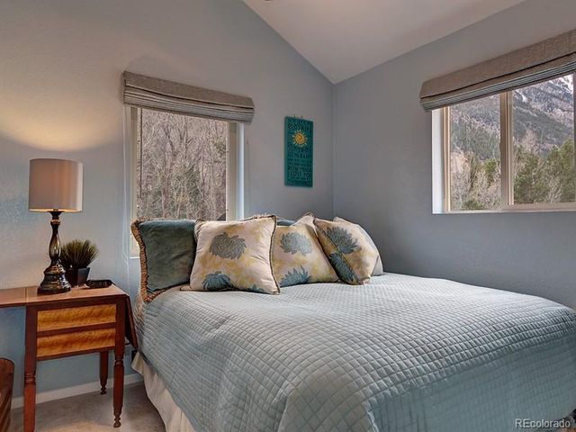 18957 County Road 162, Nathrop, CO 81236