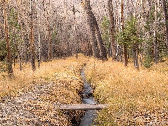 18957 County Road 162, Nathrop, CO 81236