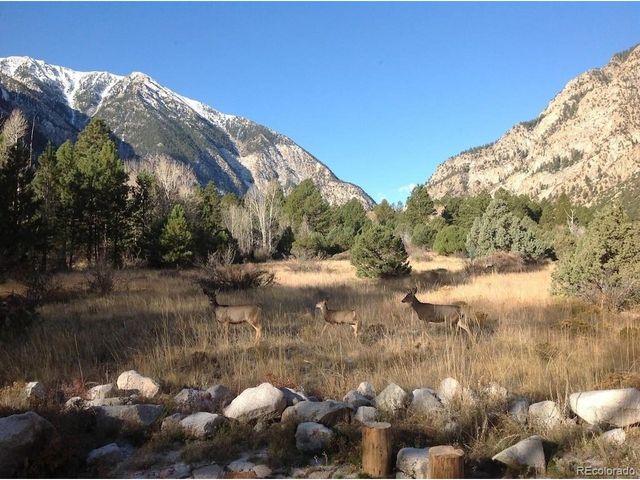 18957 County Road 162, Nathrop, CO 81236