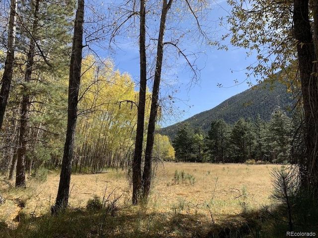 18957 County Road 162, Nathrop, CO 81236