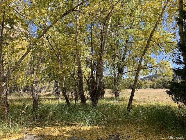 18957 County Road 162, Nathrop, CO 81236