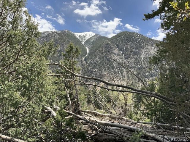 18957 County Road 162, Nathrop, CO 81236