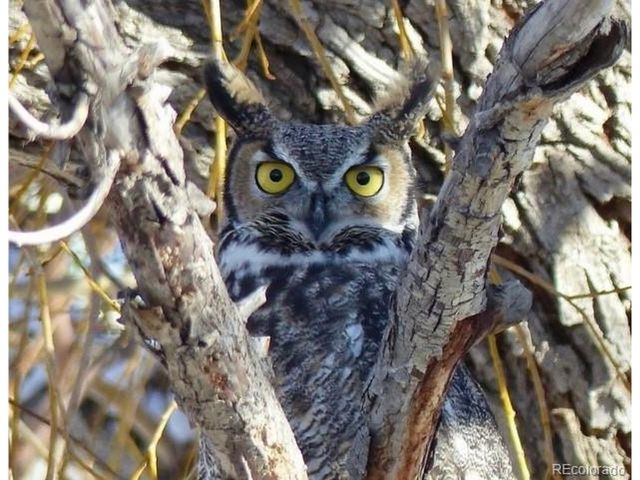 18957 County Road 162, Nathrop, CO 81236