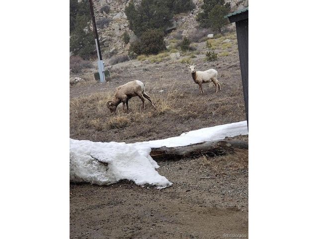 18957 County Road 162, Nathrop, CO 81236