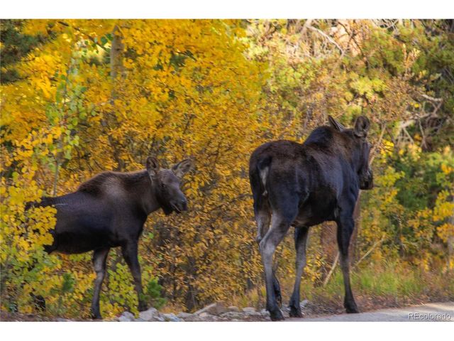 18957 County Road 162, Nathrop, CO 81236