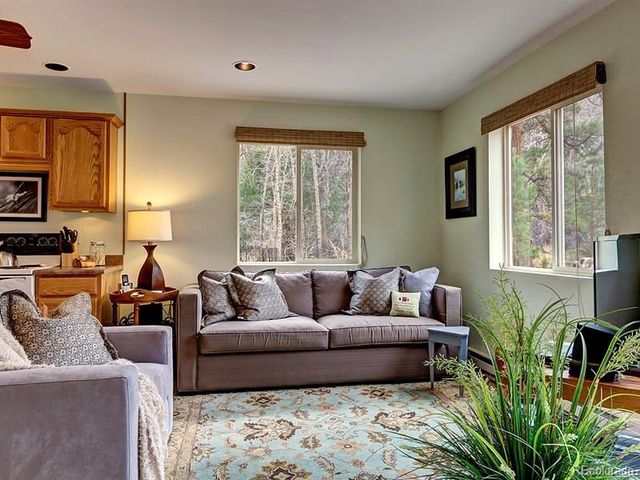 18957 County Road 162, Nathrop, CO 81236