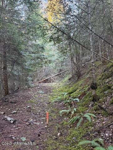 NNA Half Round Bay LOT 5, Harrison, ID 83833