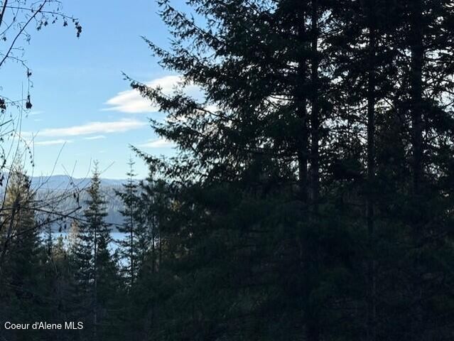 NNA Half Round Bay LOT 5, Harrison, ID 83833