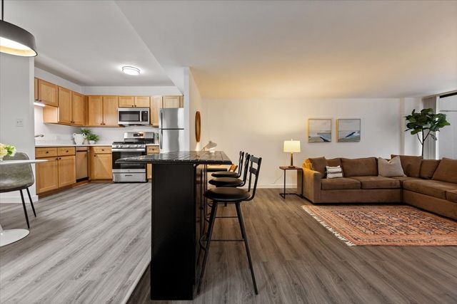 230 E Ontario Street 1305, Chicago, IL 60611