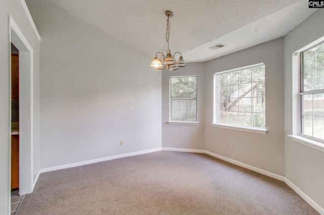 315 Stamport Circle, Irmo, SC 29063