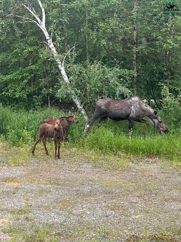 682 TANGLEWOOD DRIVE, Fairbanks, AK 99712