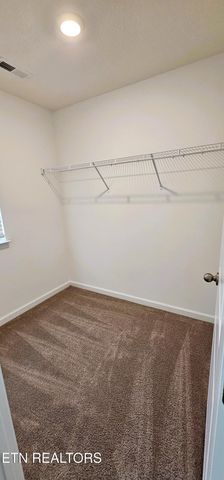 333 Emma Victoria Way, Kodak, TN 37764
