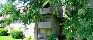 2929 Selena Dr # 60, Nashville, TN 37211