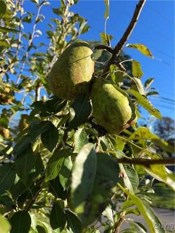 210 Clinton Avenue, Cortland, NY 13045