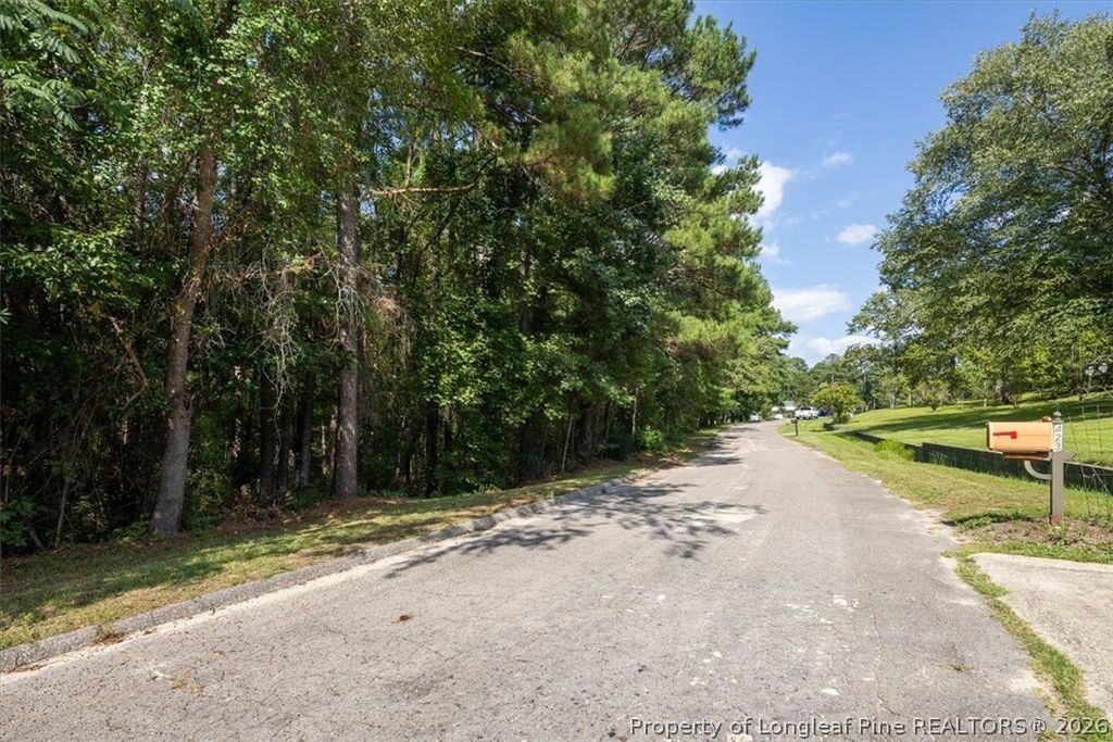 424 Timberline Drive, Fayetteville, NC 28311 — photo 3