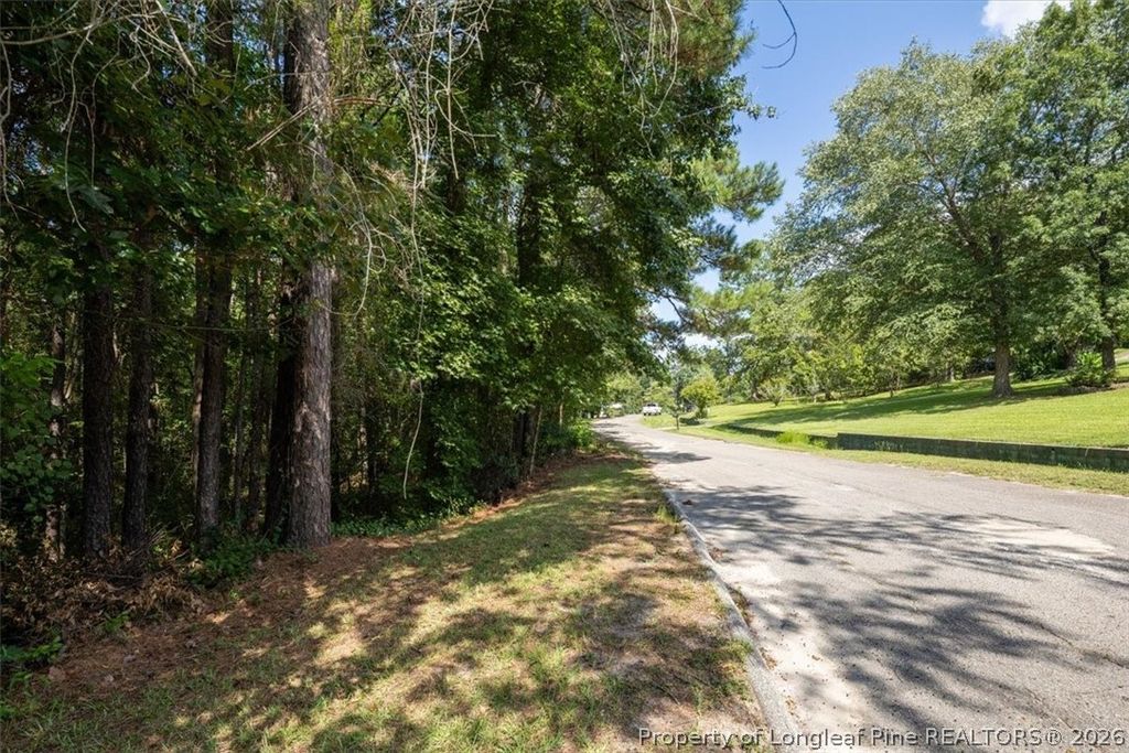 424 Timberline Drive, Fayetteville, NC 28311 — photo 4