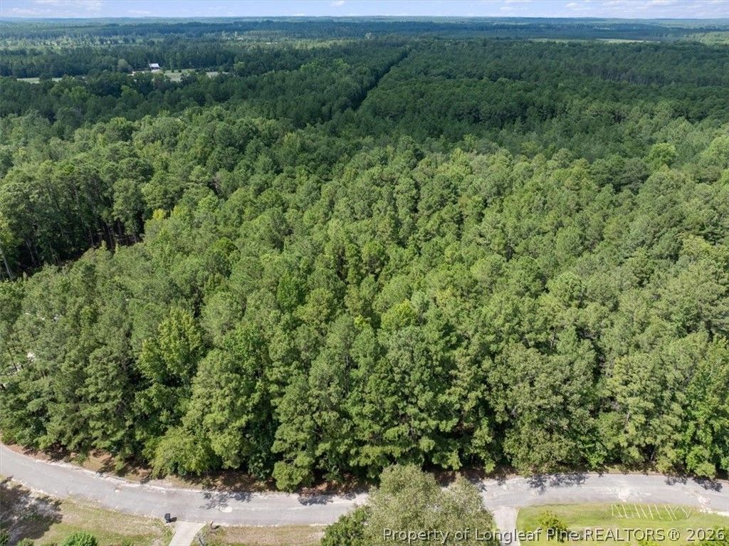 424 Timberline Drive, Fayetteville, NC 28311 — photo 5