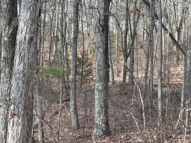 Lot 2 Forest Drive, Ringgold, GA 30736