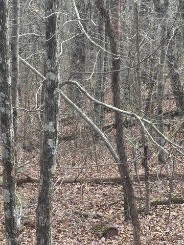 Lot 2 Forest Drive, Ringgold, GA 30736