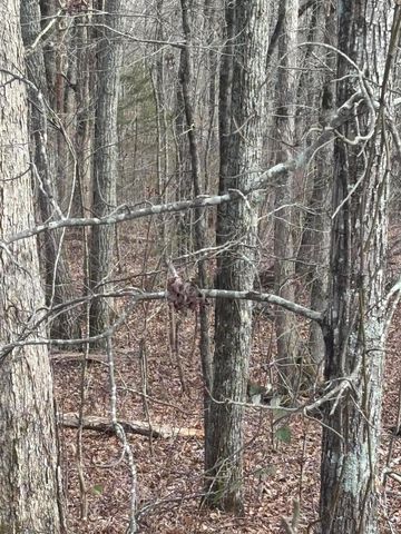 Lot 2 Forest Drive, Ringgold, GA 30736