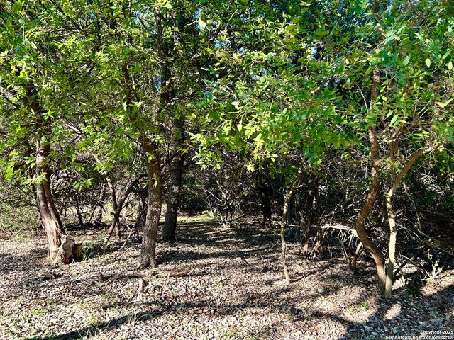 12731 Cascade Hills, San Antonio, TX 78253