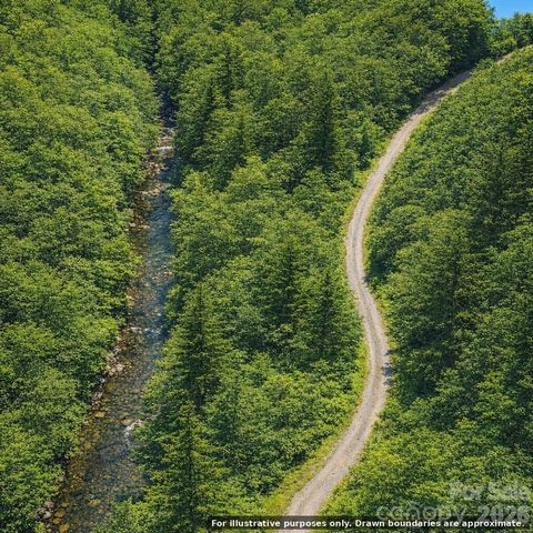 0000 Rainbow Trout Drive, Burnsville, NC 28714