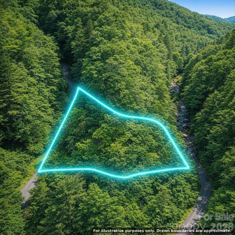0000 Rainbow Trout Drive, Burnsville, NC 28714