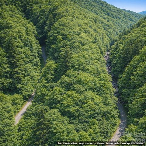 0000 Rainbow Trout Drive, Burnsville, NC 28714