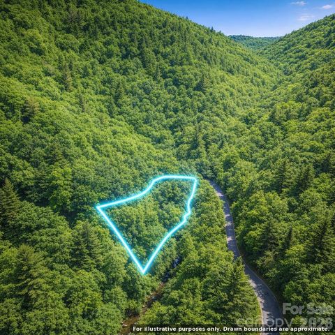 0000 Rainbow Trout Drive, Burnsville, NC 28714