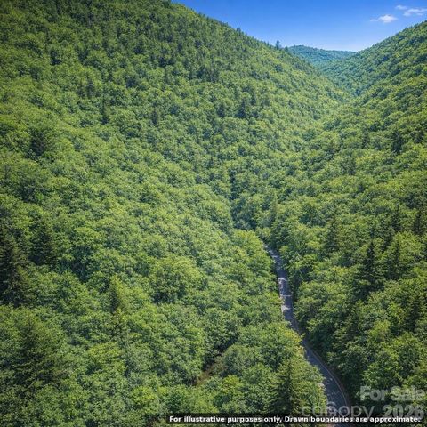 0000 Rainbow Trout Drive, Burnsville, NC 28714