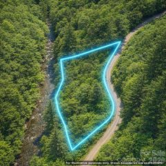 0000 Rainbow Trout Drive, Burnsville, NC 28714
