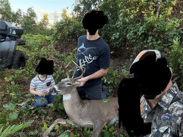 271 & 305 Mini Ranch Road, Sebring, FL 33870