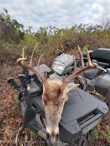 271 & 305 Mini Ranch Road, Sebring, FL 33870