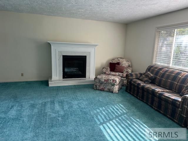 643 W 100 S, Blackfoot, ID 83221