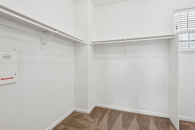 660 Bramblewood Ave, Lathrop, CA 95330