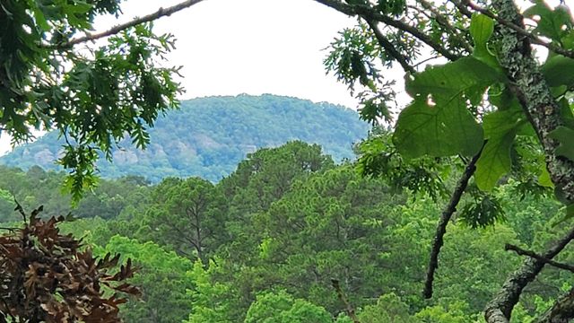 211 Burnt Rock Falls Road, Fairfield Bay, AR 72088