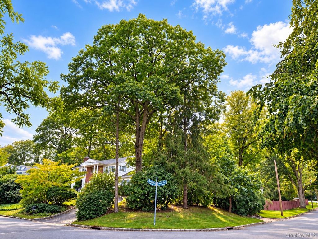 39 Orchard Court, Woodbury, NY 11797 — photo 4