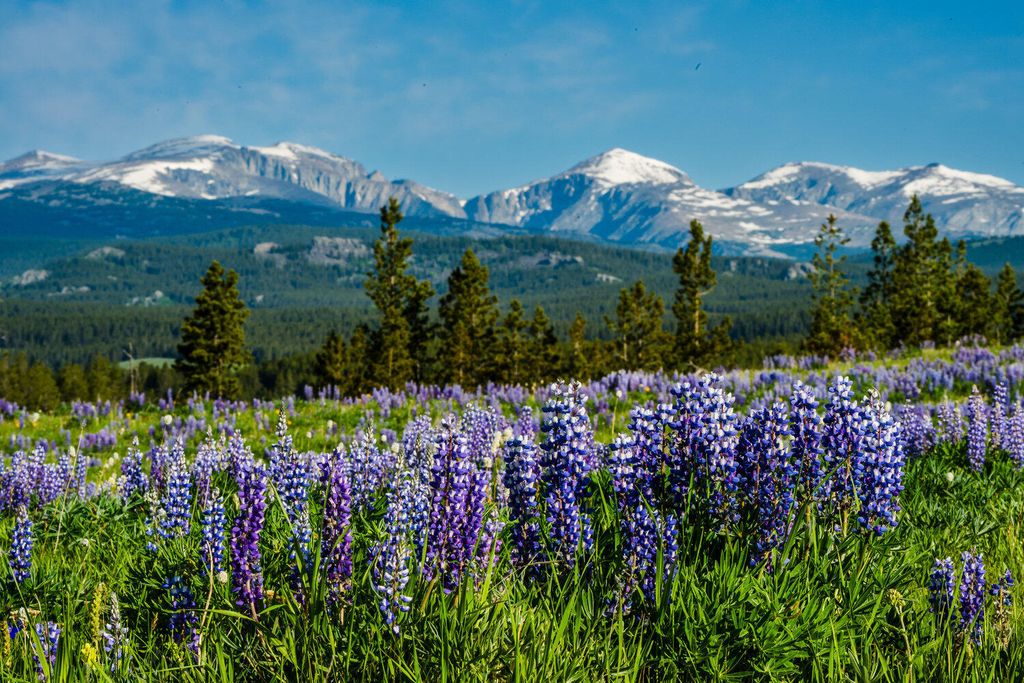 TBD W US HWY 16, Buffalo, WY 82834