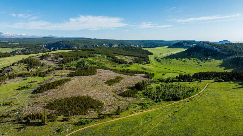 TBD W US HWY 16, Buffalo, WY 82834 photo 10