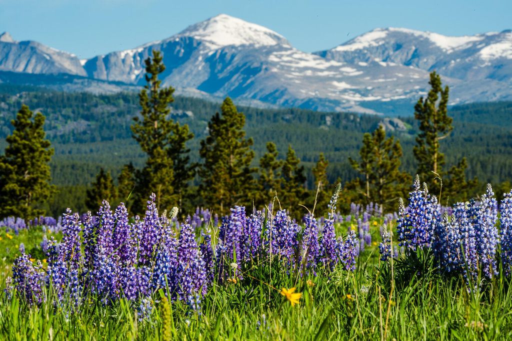 TBD W US HWY 16, Buffalo, WY 82834 photo 2
