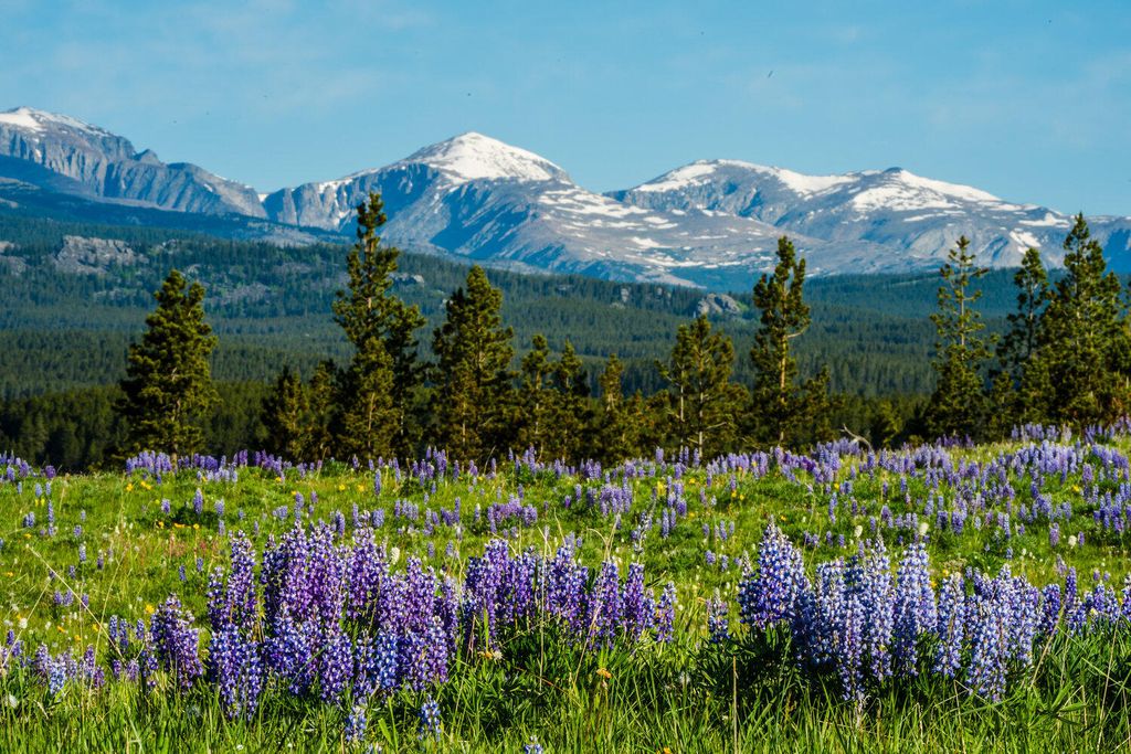 TBD W US HWY 16, Buffalo, WY 82834 photo 3
