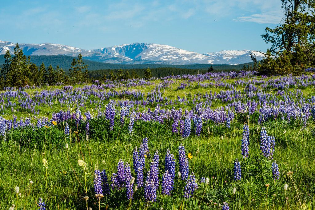 TBD W US HWY 16, Buffalo, WY 82834 photo 7