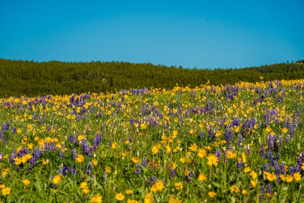 TBD W US HWY 16, Buffalo, WY 82834 photo 8